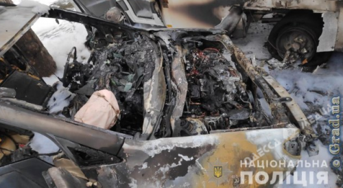 В городе под Одессой сгорела иномарка (фото)