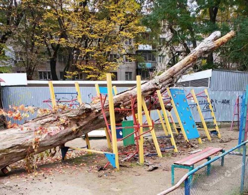 На Черемушках дерево упало на детскую площадку: пострадали пять человек (фото)