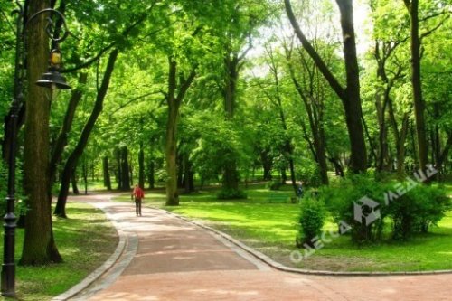 На поселке Котовского появится парк «Энтузиастов»