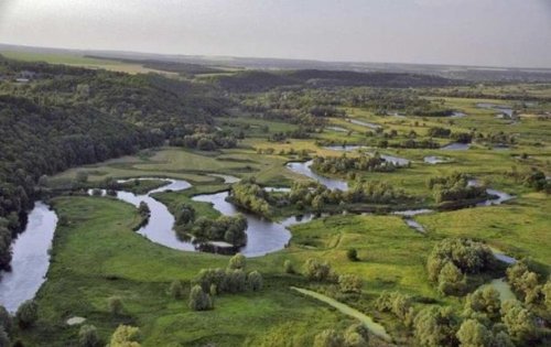 В Харьковской области расследуют отчуждение 200 га земли нацпарка