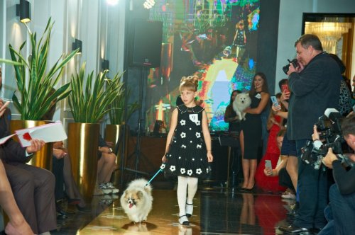 В Одессе 13 собачек активно боролись за главный приз конкурса «Звёздные собачки» (фоторепортаж)