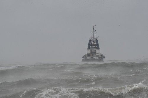 Терпящий бедствие танкер прибило к «Дельфину» (фоторепортаж)