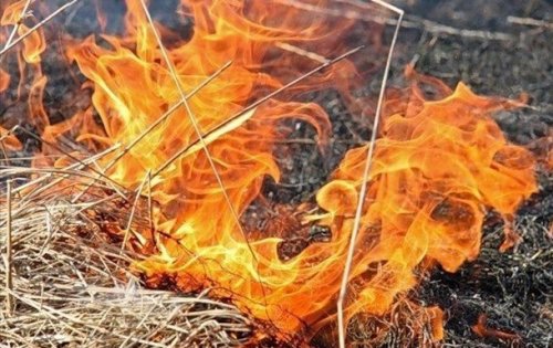 На Донбассе из-за обстрела возник пожар – штаб ООС
