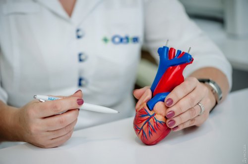 До конца января в Odrex действуют месяцы здорового сердца (новости компаний)