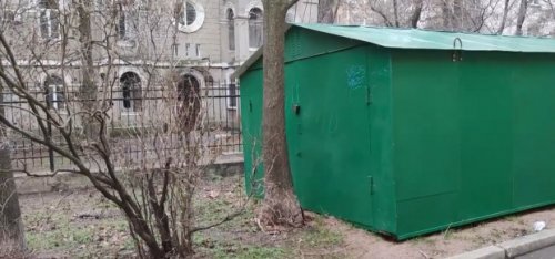 В Одессе ради гаражей пилят деревья: благодаря реакции небезразличных одесситов одну вырубку удалось остановить