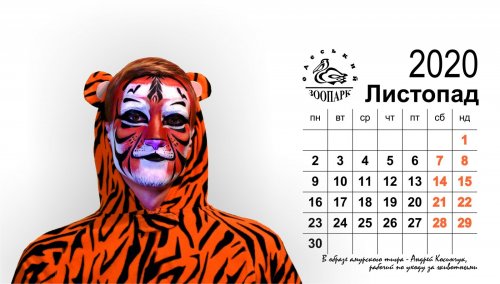 Одесский зоопарк выпустил необычный календарь на 2020 год