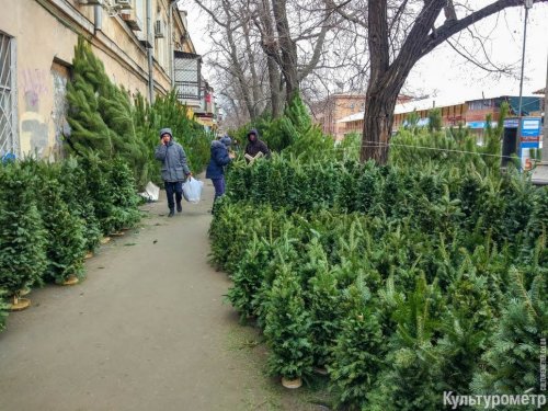На одесских рынках останутся непроданными сотни елок (фото)
