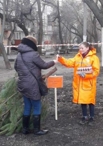 В Одессе открыли специальные пункты приема новогодних елок и сосен