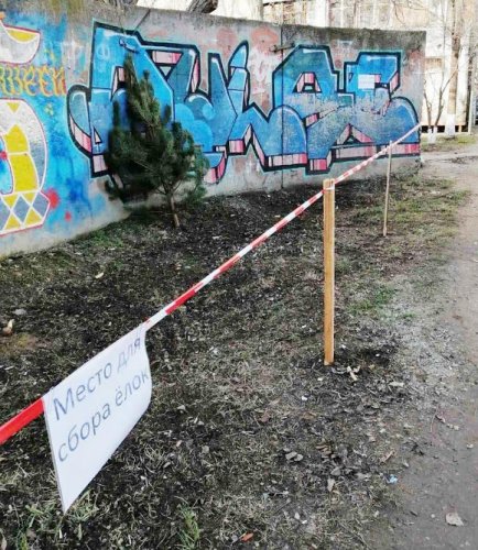 В Одессе открыли специальные пункты приема новогодних елок и сосен