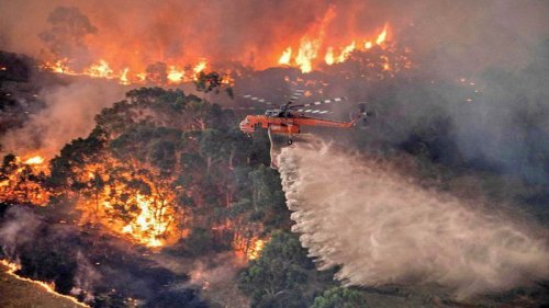 Одесситка из Австралии рассказала о самом страшном пожаре на континенте