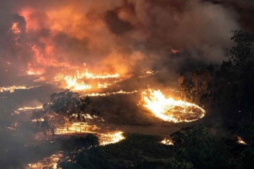 Одесситка из Австралии рассказала о самом страшном пожаре на континенте