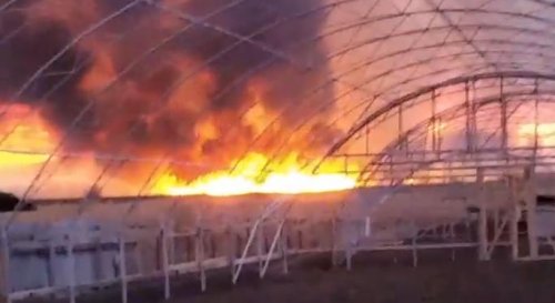 Сильный пожар в заповеднике под Одессой — сгорело 800 га территории