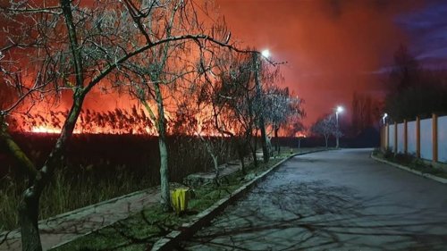 Сильный пожар в заповеднике под Одессой — сгорело 800 га территории