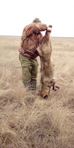 Охотник устроил сафари на джипе, застрелив волка ради забавы — одесский эколог