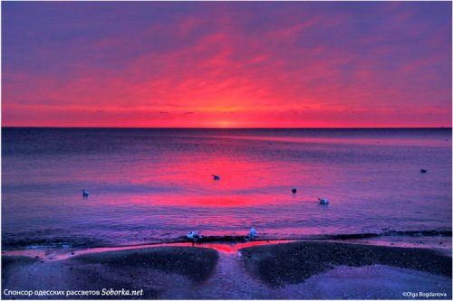 Февральский рассвет на море удивил своими красками (фото)