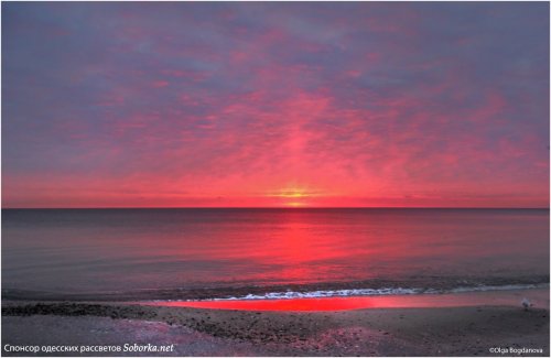 Февральский рассвет на море удивил своими красками (фото)