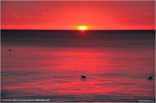 Февральский рассвет на море удивил своими красками (фото)