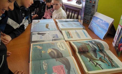 В Арцизе дети знакомились с жизнью китов