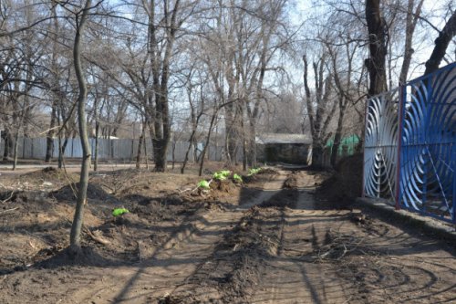 Преображение Преображенского: дорога на костях, срубленные деревья и новый вход в зоопарк