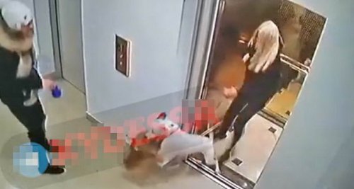 В «Жемчужине» бойцовская собака без намордника загрызла шпица (видео 18+)