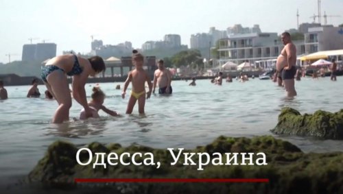 BBC сняла фильм о самом грязном море Европы и это Черное море