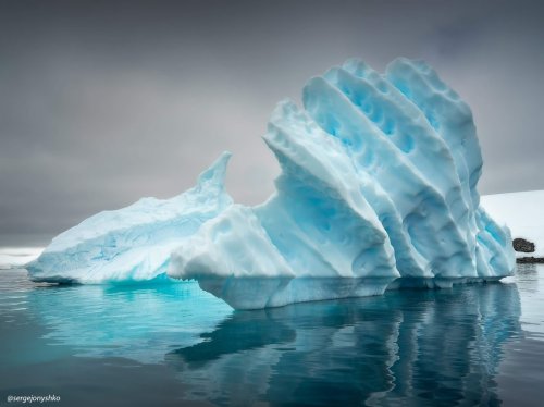 Одесский фотограф показал красоту Антарктиды (фото)