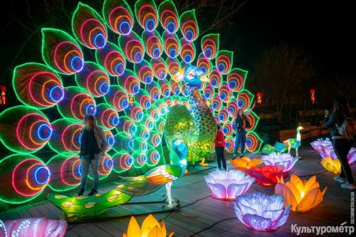 В Одессу привезли шоу гигантских китайских фонарей: пятиметровый павлин и другие светящиеся фигуры (фото)