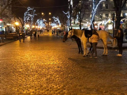 На Дерибасовскую вернулись «лохотроны» и прокатные лошади (фото)