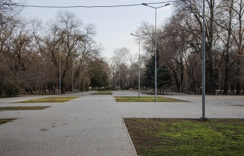 Кладбище, парк: зона отдыха или место для памяти? (фото)