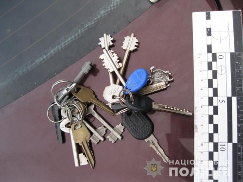 Банду квартирных воров задержали в Белгороде-Днестровском