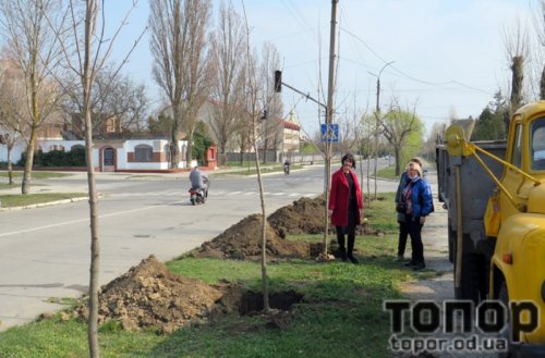 Курортная Сергеевка Белгород-Днестровского района озеленяет улицы