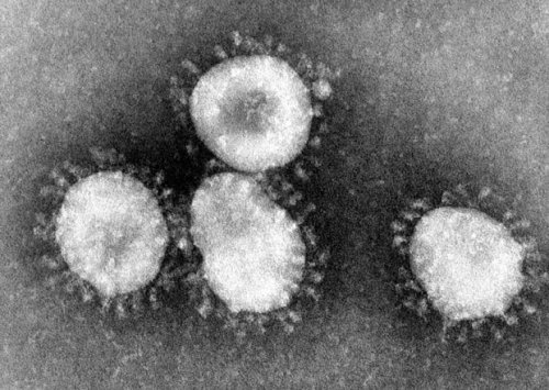 У одесского прокурора нашли коронавирус: он прилетел из Египта десять дней назад