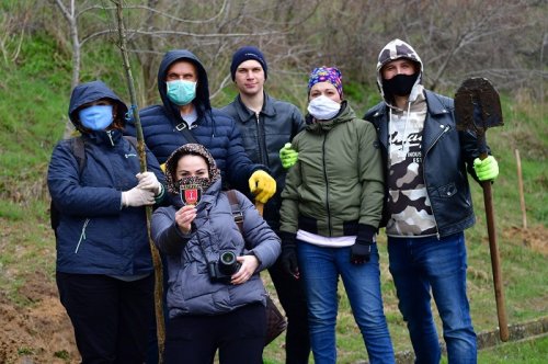 Активисты в масках посадили десятки деревьев на склонах Фонтана (фото)