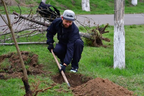 Активисты в масках посадили десятки деревьев на склонах Фонтана (фото)