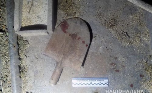 В Арцизском районе несовершеннолетний воришка ударил пожилую односельчанку лопатой