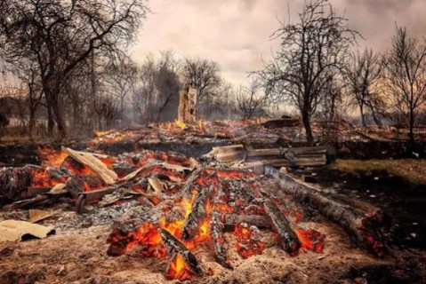 В Житомирской области сгорело почти 40 дачных домов