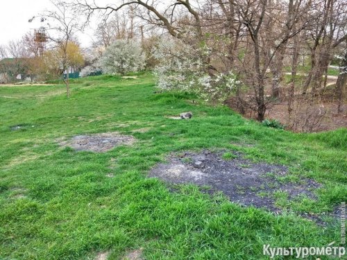 Одесские любители шашлыков и пляжей уходят на самоизоляцию (фото)