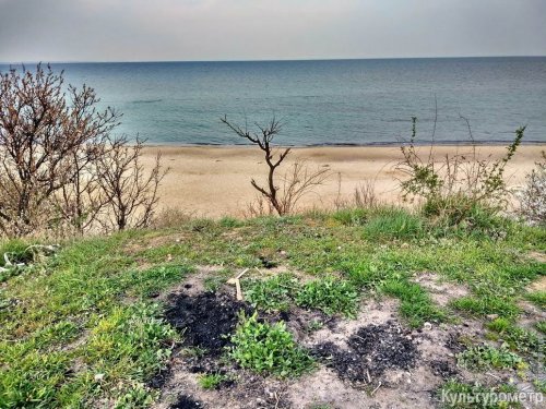Одесские любители шашлыков и пляжей уходят на самоизоляцию (фото)
