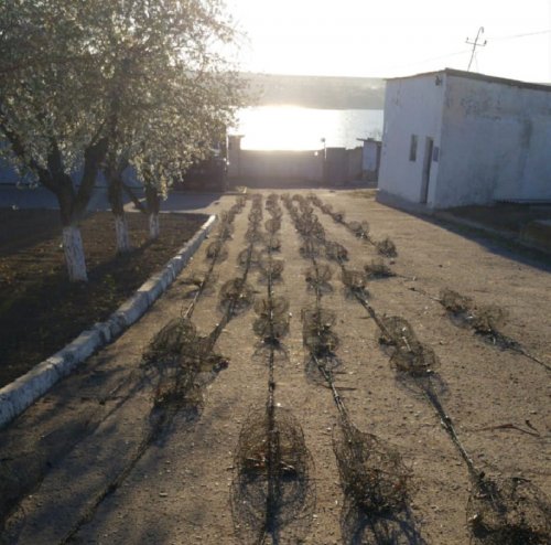 Одесская область: на озере Кагул пограничники не дали браконьерам наловить раков
