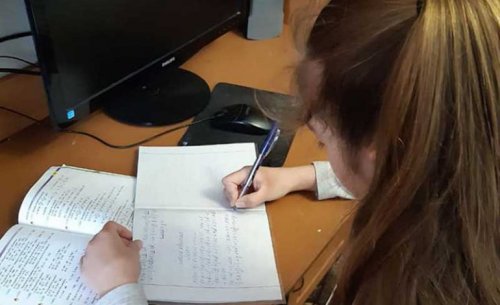 В Болградском районе школьники на карантине и учатся, и занимаются хобби, и помогают родителям