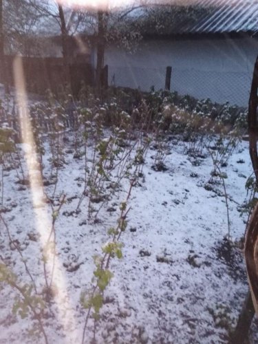 На севере Одесской области выпал снег