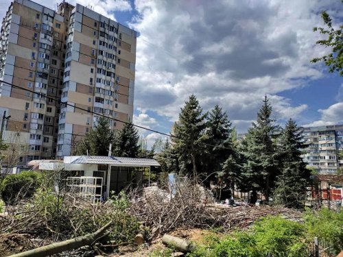 На поселке Котовского пилят деревья ради строительства магазина