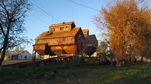 Как карантинят в селе Овидиопольского района (фото)