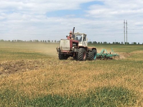 Последствия засухи в Одесской области будут ощутимы уже осенью. Президента и правительство призвали поддержать фермеров