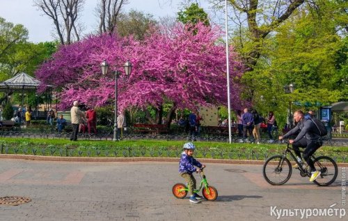 Первое мая в Одессе (фото)