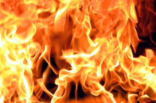 В Житомирской области спасателям удалось ликвидировать несколько очагов пожаров