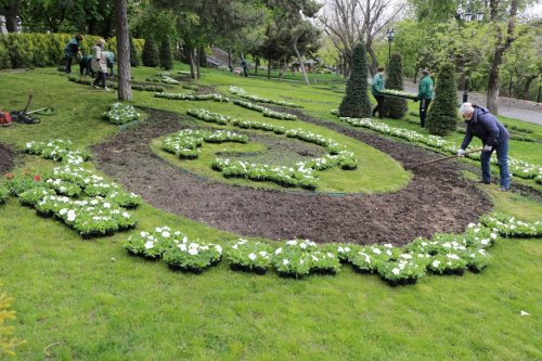 В Одессе высадят 600 тысяч цветов