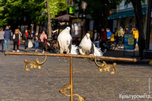 В центре Одессы стало многолюдно перед смягчением карантина (фото)