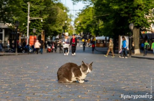 В центре Одессы стало многолюдно перед смягчением карантина (фото)