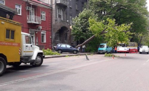 В Одессе упавшее дерево побило внедорожник и остановило троллейбусы (фотофакт)